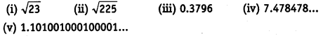 NCERT Solutions For Class 9 Maths Chapter 1 Number Systems ex3 9